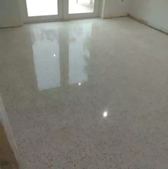 Terrazzo Floor Restoration